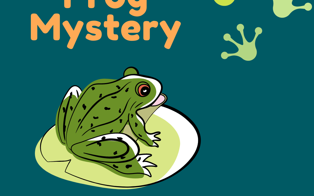 Frog Mystery